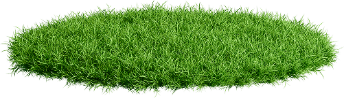 grass